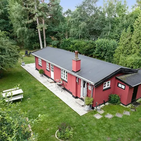 Romantic Amidst Tall Woodland Trees * Rørvig