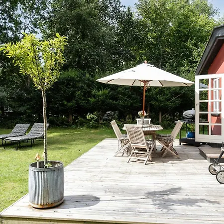 Romantic Amidst Tall Woodland Trees Rørvig