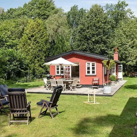 Romantic Amidst Tall Woodland Trees *