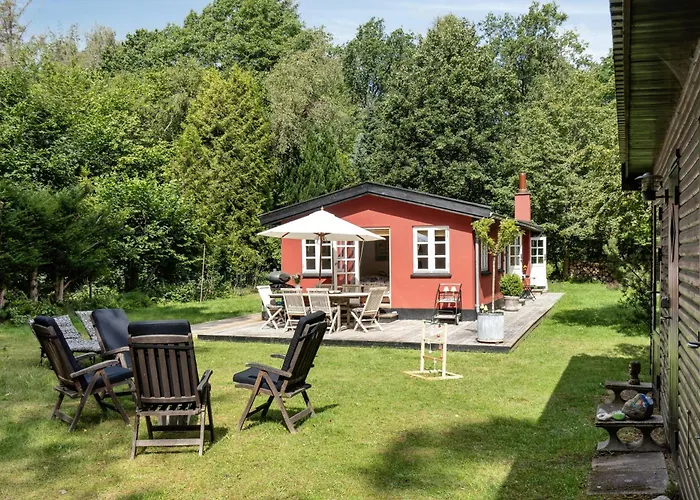 Romantic Amidst Tall Woodland Trees *